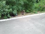     
: 2012-06-19 20.55.49.jpg
: 17
:	117.5 
ID:	4438190