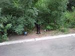     
: 2012-06-19 20.56.03.jpg
: 14
:	154.4 
ID:	4438191