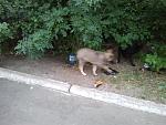     
: 2012-06-19 20.56.15.jpg
: 24
:	146.4 
ID:	4438193