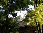     
: DSC00856.jpg
: 43
:	290.2 
ID:	4438550