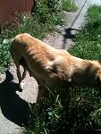     
: IMG_0294.jpg
: 23
:	138.4 
ID:	4438829