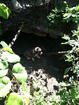     
: IMG_0298.jpg
: 28
:	140.3 
ID:	4438868
