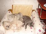    
: DSC02963.jpg
: 16
:	134.3 
ID:	4441058