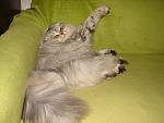     
: DSC02967.jpg
: 8
:	130.3 
ID:	4441060