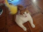     
: DSC03525.JPG
: 7
:	83.3 
ID:	4444790