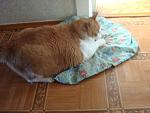     
: DSC03530.JPG
: 5
:	91.3 
ID:	4444791