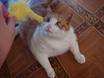     
: DSC03527.JPG
: 5
:	76.5 
ID:	4444793
