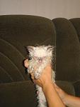     
: DSC00194.jpg
: 50
:	36.5 
ID:	444492
