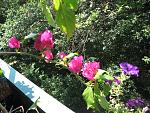     
: IMG_2323.jpg
: 22
:	280.4 
ID:	4447995