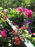     
: IMG_2333.jpg
: 11
:	176.4 
ID:	4448000
