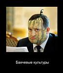     
: photo_31520.jpg
: 6
:	45.0 
ID:	4448398