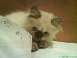     
: DSC01120.jpg
: 31
:	64.1 
ID:	444936