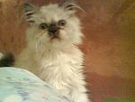     
: DSC01122.jpg
: 32
:	78.3 
ID:	444937