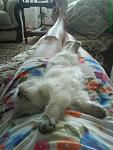     
: DSC01069.jpg
: 33
:	52.2 
ID:	444939