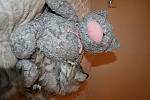     
: IMG_0864.jpg
: 3
:	111.9 
ID:	4451121