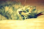     
: IMG_08541.jpg
: 5
:	91.1 
ID:	4451141