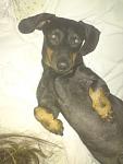     
: DSC03784.JPG
: 16
:	50.0 
ID:	445177