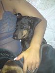    
: DSC03793.JPG
: 19
:	47.2 
ID:	445178