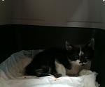     
: IMG_0337.jpg
: 7
:	77.7 
ID:	4452128