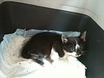     
: IMG_0339.jpg
: 9
:	113.5 
ID:	4452130