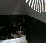     
: IMG_0340.jpg
: 11
:	68.4 
ID:	4452131