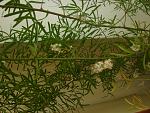     
: DSC04555.jpg
: 5
:	163.8 
ID:	4452618