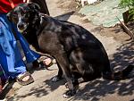     
: IMG_4038.jpg
: 8
:	257.5 
ID:	4452622