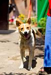     
: IMG_4077.jpg
: 7
:	65.9 
ID:	4452659