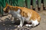     
: IMG_4070.jpg
: 10
:	63.3 
ID:	4452707