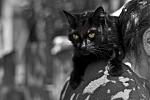     
: IMG_4088 copy.jpg
: 7
:	70.7 
ID:	4452787