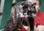     
: IMG_4093.jpg
: 30
:	57.8 
ID:	4452816