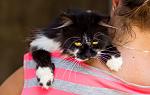     
: IMG_4097.jpg
: 18
:	58.3 
ID:	4452820