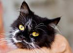     
: IMG_4109.jpg
: 23
:	61.4 
ID:	4452822