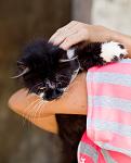     
: IMG_4102.jpg
: 20
:	239.2 
ID:	4452825