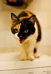     
: IMG_3900.jpg
: 11
:	42.8 
ID:	4452864