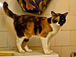     
: IMG_3906.jpg
: 11
:	289.3 
ID:	4452865