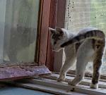     
: IMG_3626.jpg
: 11
:	60.3 
ID:	4452889