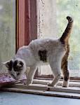     
: IMG_3628.jpg
: 9
:	79.1 
ID:	4452890