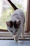     
: IMG_3620.jpg
: 8
:	285.9 
ID:	4452893