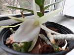     
: DSCN0040[1].jpg
: 5
:	100.0 
ID:	4456049