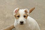     
: DSC_0321.jpg
: 5
:	59.8 
ID:	4458233