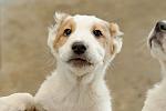     
: DSC_0323.jpg
: 8
:	83.2 
ID:	4458234