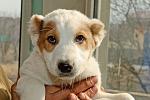     
: DSC_0262.jpg
: 7
:	116.5 
ID:	4458237