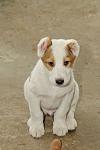     
: DSC_0326.jpg
: 6
:	56.4 
ID:	4458238