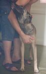     
: IMG_4005.jpg
: 7
:	40.7 
ID:	4459232