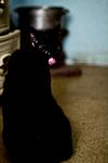     
: IMG_3638.jpg
: 7
:	38.9 
ID:	4459261
