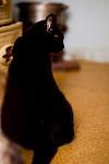     
: IMG_3639.jpg
: 6
:	37.2 
ID:	4459262