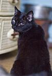     
: IMG_3640.jpg
: 7
:	47.5 
ID:	4459263