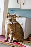     
: IMG_3881.jpg
: 6
:	58.7 
ID:	4459291