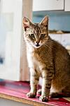     
: IMG_3880.jpg
: 6
:	61.4 
ID:	4459299